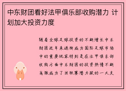 中东财团看好法甲俱乐部收购潜力 计划加大投资力度